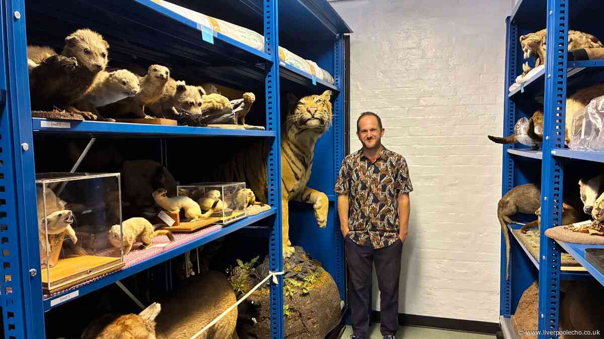 Liverpool's underground secret location where thousands of treasures stored