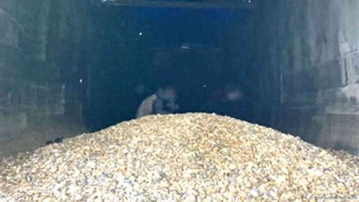 13 illegal immigrants - including children - found hiding in the back of truck at Hull docks