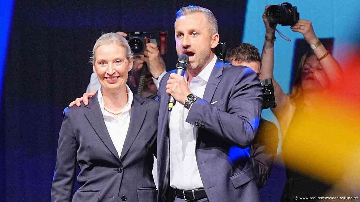 AfD als Wahlsieger in Sachsen-Anhalt: So radikal will sie das Land verändern