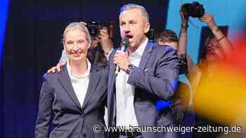 AfD als Wahlsieger in Sachsen-Anhalt: So radikal will sie das Land verändern