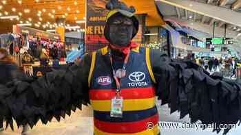 Adelaide Crows 'blackface' fan unmasked as club stalwart and Superfan of the Year Colleen McKaye - as she goes into hiding