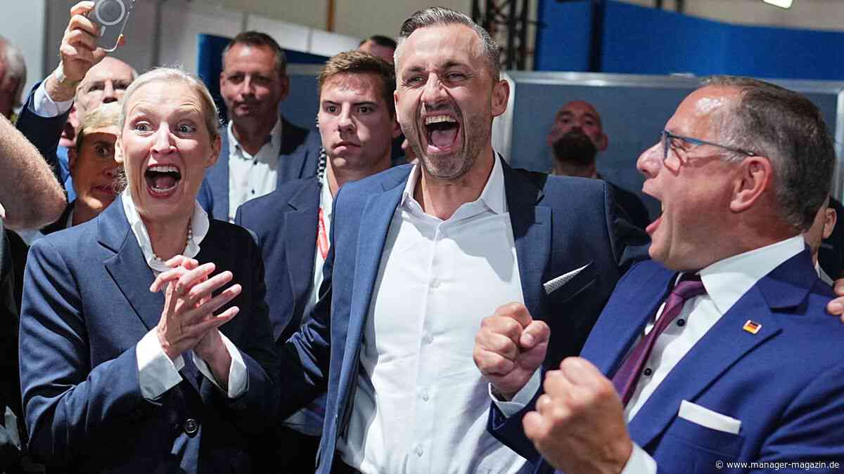 AfD gewinnt, CDU bricht ein, BSW im Landtag