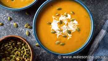 Mary Berry's easy and delicious soup recipe is the perfect autumn comfort food