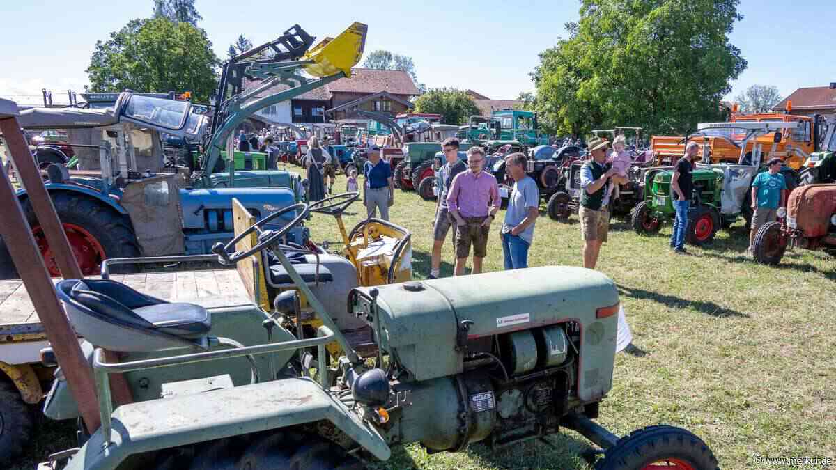 Taktgefühl im Zelt und auf der Wiese: Tanzlmusi feiert mit Gästen und Oldtimern