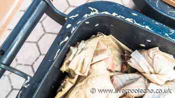 Kill maggots 'instantly' with 65p kitchen staple you can add to bins now