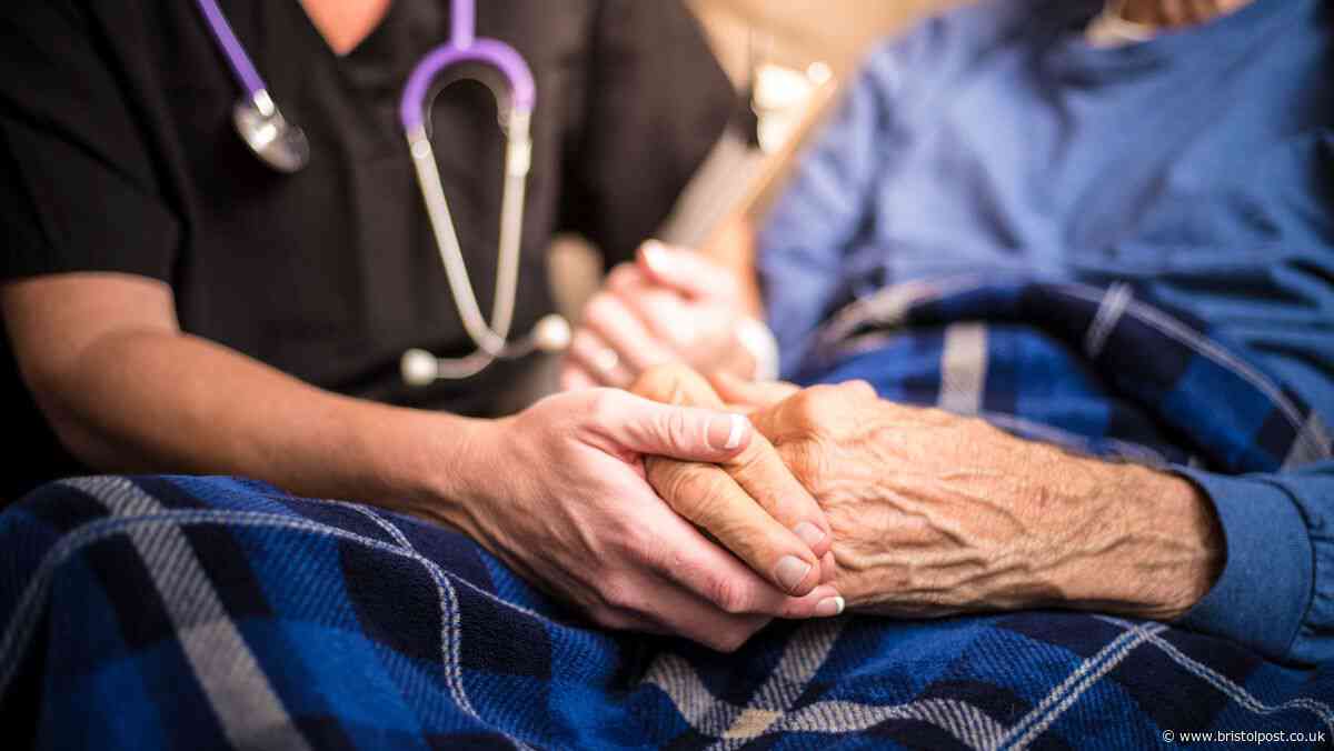 Closing Bristol's £300k Meals on Wheels service threatens elderly welfare, expert warns