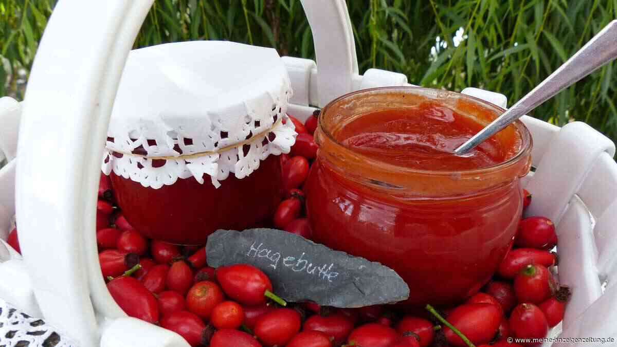 Hagebuttenmarmelade: der Herbstaufstrich aus eigener Herstellung ohne Entkernen