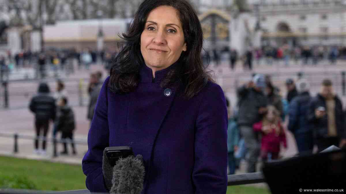 Doctor explains blood cancer symptoms after Maryam Moshiri diagnosis