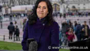 Doctor explains blood cancer symptoms after Maryam Moshiri diagnosis