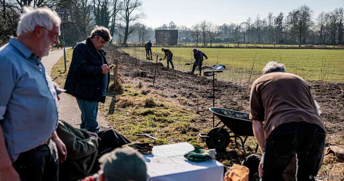 Plan voor 15 miljoen extra bomen in vooral Twente tot mislukken gedoemd