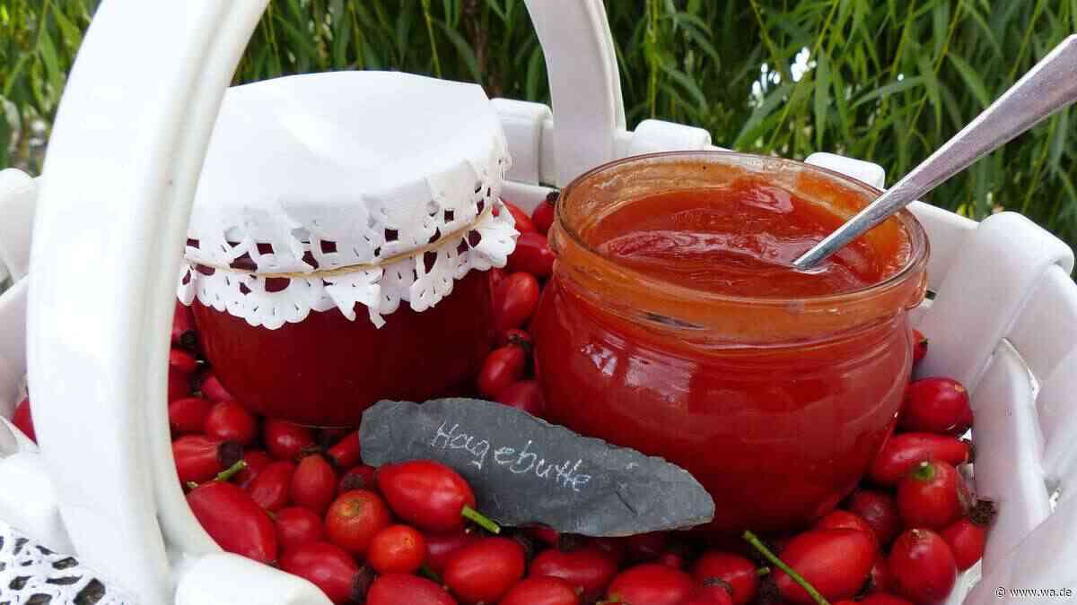 Hagebuttenmarmelade: der Herbstaufstrich aus eigener Herstellung ohne Entkernen