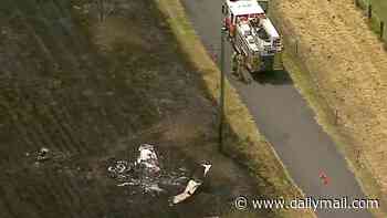 Two people die after light plane crashes near Brisbane and sparks huge bushfire