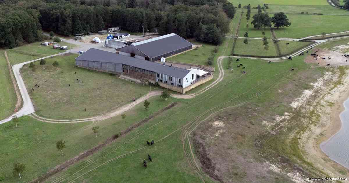 Deze boerderij is zó populair, dat eigenaren amper aan werken toekomen. En dat is nog niet eens hun grootste probleem