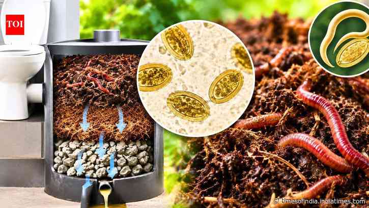 Worms turn human waste into compost, but parasitic eggs can survive the process
