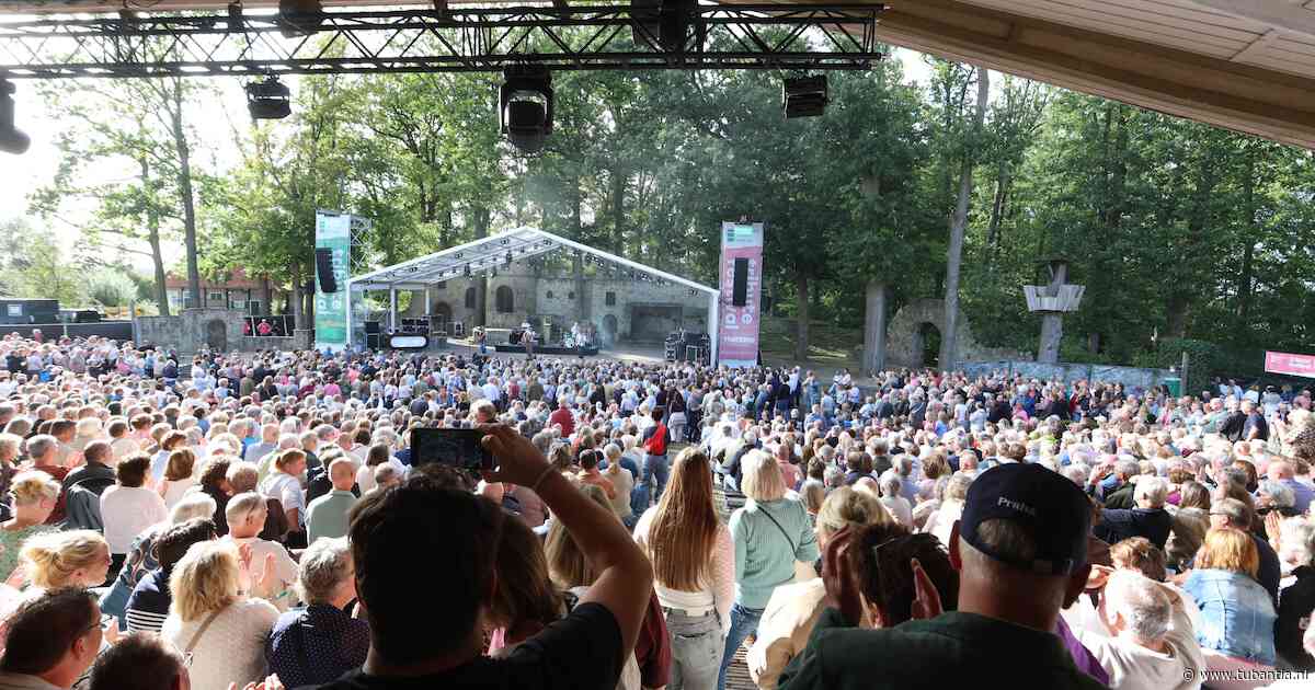 Tributebands verdringen eigen werk: wint kassa het van kunst?