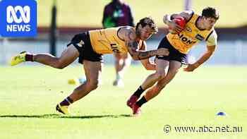 AFL introduces contact training limits in bid to curb concussions