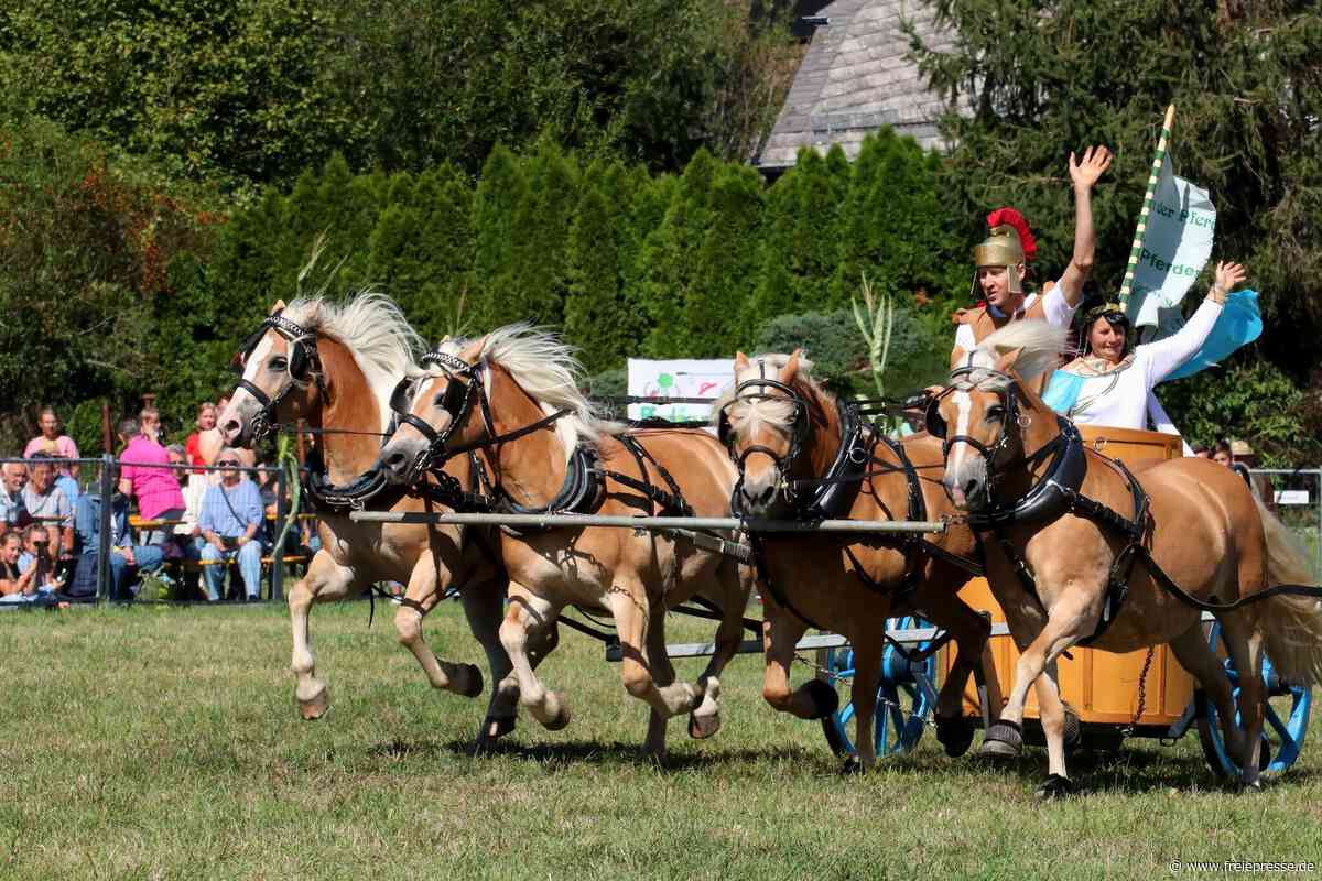 Gänsehautmomente zur Pferdeschau Großfriesen: Waghalsige Pyramiden und Quadrillen im Galopp