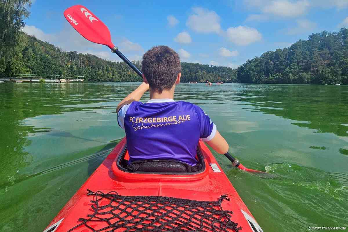 Erzgebirge Aue: Veilchen schwimmt im Freiwasser zu Silber