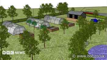 Brewery looks to expand to produce cider and honey