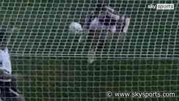 Does new footage prove Williams handled ball in controversial disallowed goal?