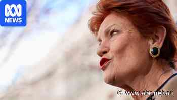 One Nation's early access super scheme panned as inflationary