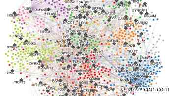 Largest ever ‘map’ of autism may hold clues for new targeted therapies