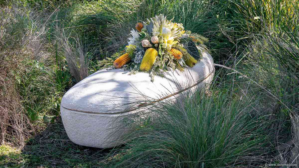 Would you get buried in a 'living coffin'? Australian woman is put to rest in a casket made from mushrooms