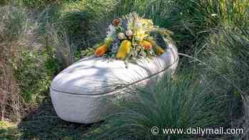 Would you get buried in a 'living coffin'? Australian woman is put to rest in a casket made from mushrooms