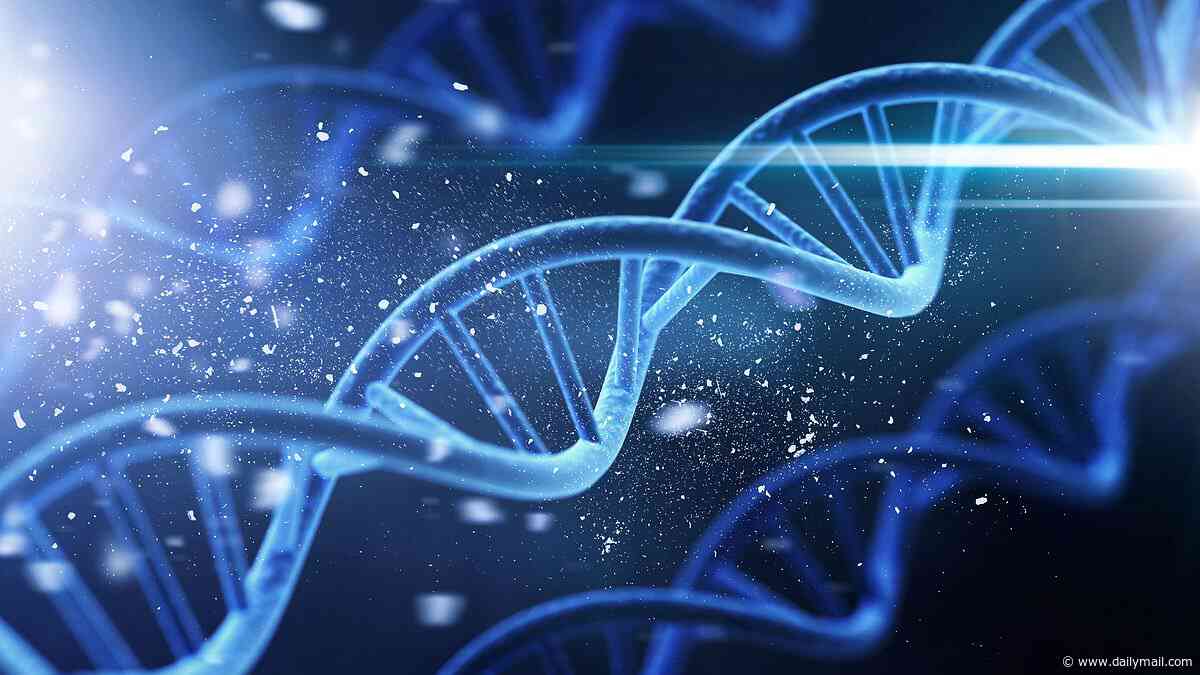The clues in human DNA that prove life had an intelligent creator, according to a medical scientist