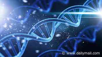 The clues in human DNA that prove life had an intelligent creator, according to a medical scientist
