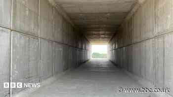Bat tunnel built under new dual carriageway