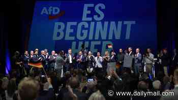 Elon Musk and Europe's hard right figures hail AfD's 'historic' election win in German state as leader predicts Chancellor Merz will fall by Christmas