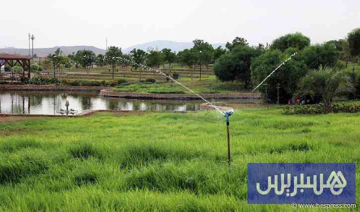 حدائق وجدة تنتعش بالمياه المعالجة