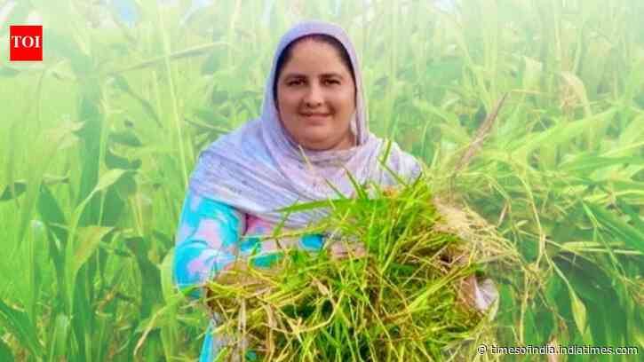 From half an acre to 40: How a Moga woman turned mockery into an Rs 80 lakh farming enterprise