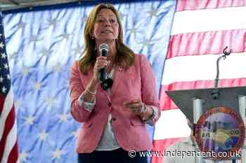 Multiple people injured as armed man lunges at Democratic candidate during campaign event
