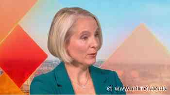 Minister labels Reform UK 'far right' and likens Nigel Farage's party to Germany's AfD