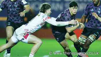 Rugby bosses welcome idea for Welsh clubs in the expanded Prem