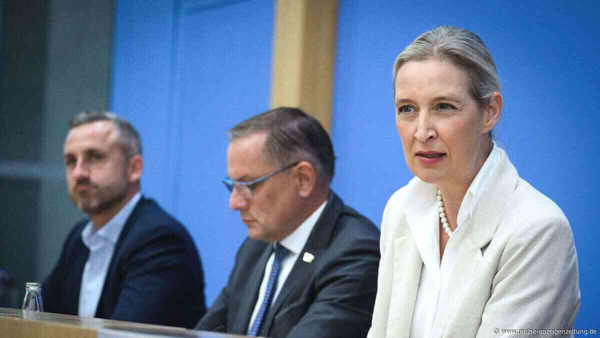 Weidel: „Uns geht es nicht um Ausländer oder nicht“