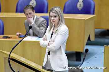 D66-Kamerlid in de fout met Rusland-opmerking