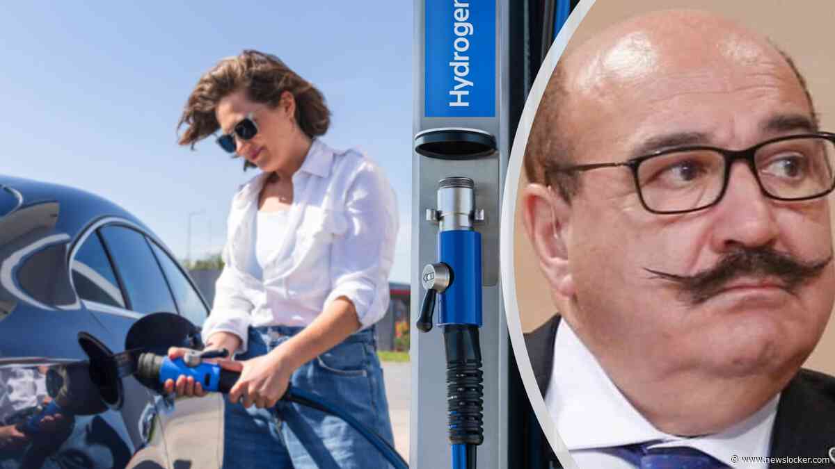 Oud-topambtenaar EU kraakt heilig geloof Brussel in groene waterstof: ’Financieel kan het helemaal niet’