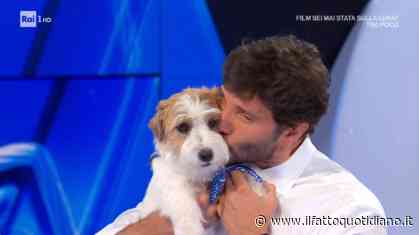 “Gennarino ha lasciato il posto, i cani in tv sono come i notai. Ora ci sarà Tommasino ed è praticamente il nipote”: Stefano De Martino annuncia tutte le novità della nuova edizione di Affari Tuoi