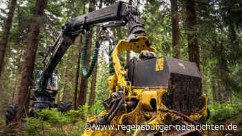 T?dlicher Unfall bei Forstarbeiten in Arrach