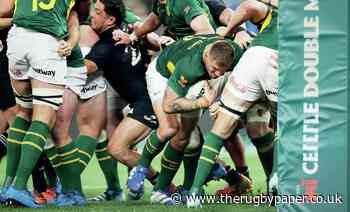 South Africa 29-24 New Zealand: Springboks turn on the power to snatch the glory