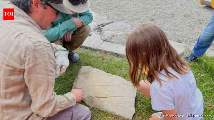 Meet Alyssa: 7-year-old Calgary girl discovers 445-million-year-old sea-star fossil