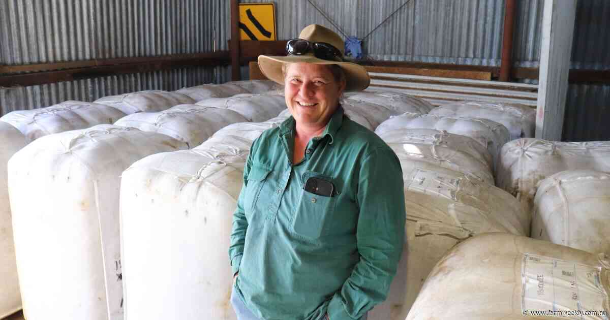 'Wool cut is king': the family mantra driving Wendouree Downs' succcess