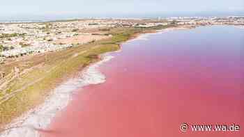Rosa See in Spanien: Dieses Naturwunder zieht Besucher an