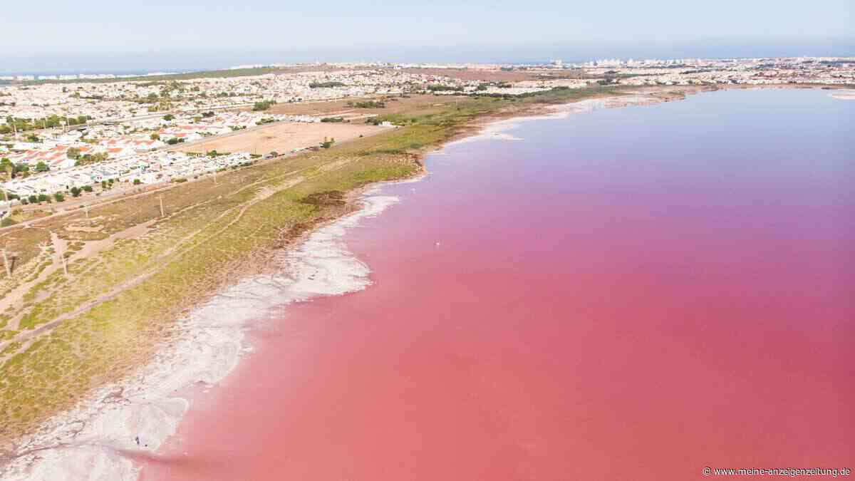 Rosa See in Spanien: Dieses Naturwunder zieht Besucher an