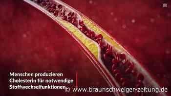Cholesterin: Das bedeuten LDL- und HDL-Werte für Ihre Gesundheit
