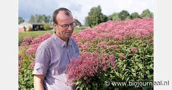 "Er is meer mogelijk met biologische bloemen dan veel mensen denken"