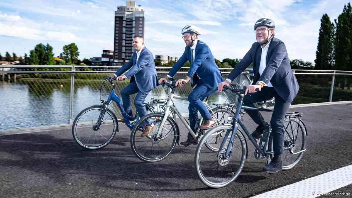 Eine Brücke als „Ausflugsziel“: XXL-Bauwerk in der HafenCity ist eingeweiht